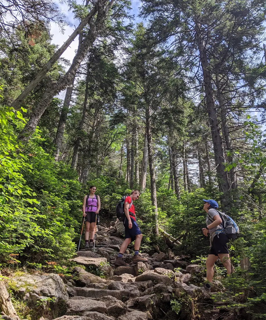 Danielle, Quentin and Emily on a hike.