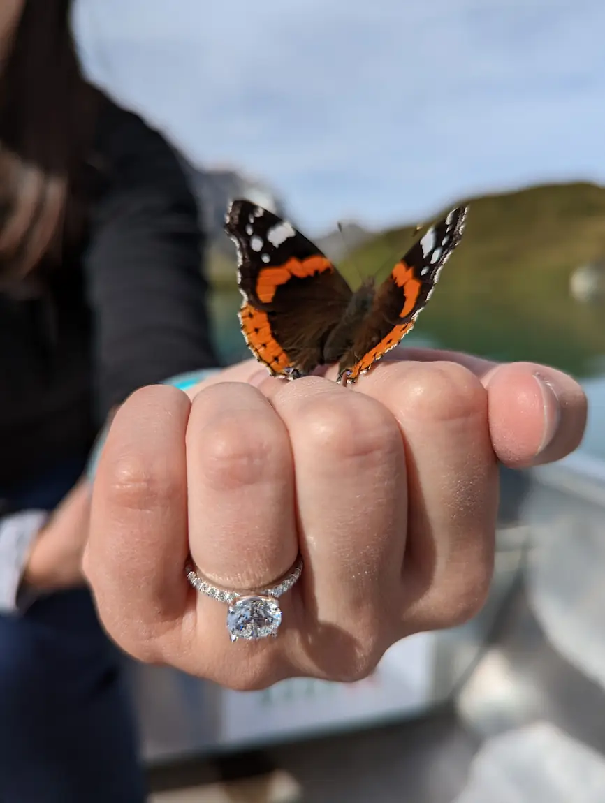 Danielle with the ring on her finger and a little butterfly perched on her hand.