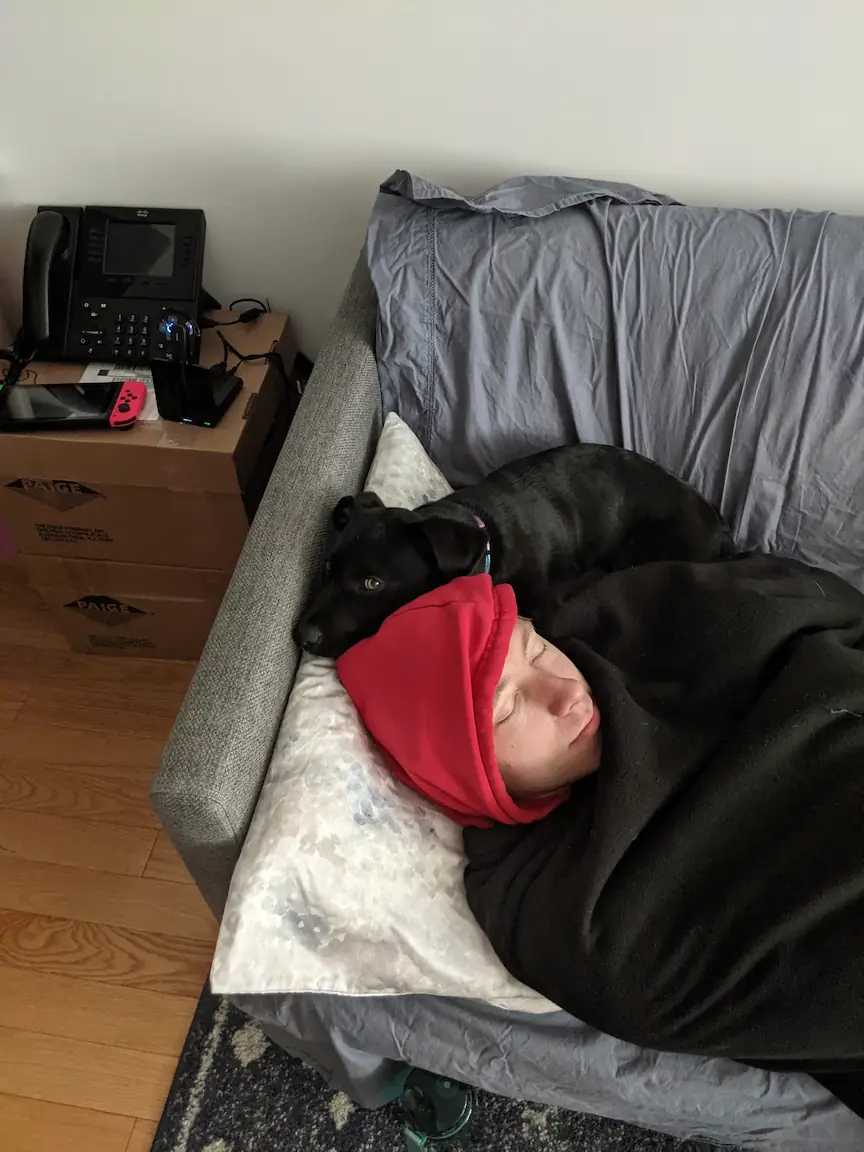 Gracie when she was still a puppy, sleeping on Quentin's head.