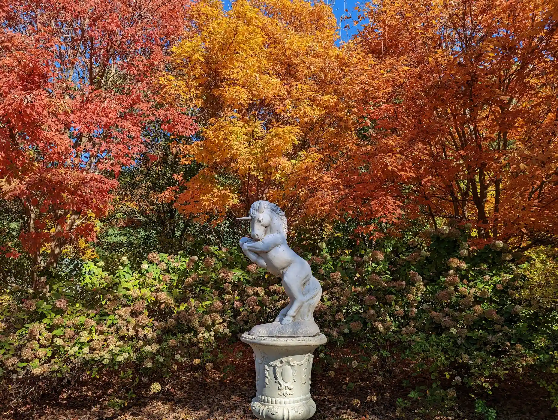 Wickham park scottish garden unicorn statue, surrounded by bright orange trees and hydrangea flowers.