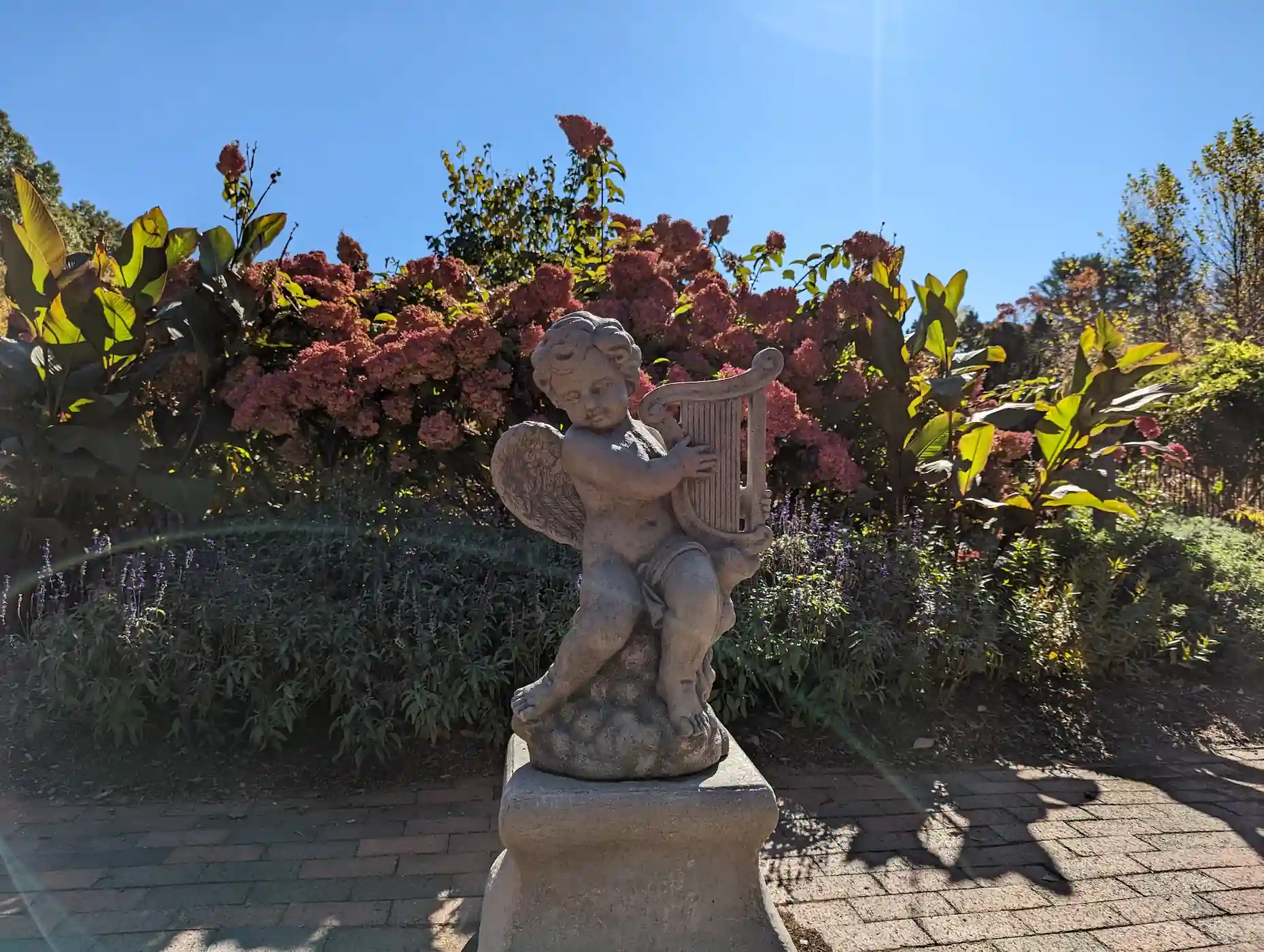 Wickham park cupid statue in the Irish Gardens.